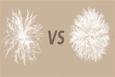 Ile wiesz o kurtce puchowej?